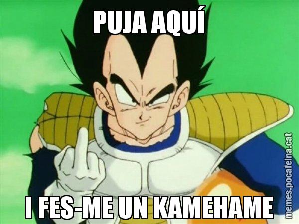 PUJA AQUÍ I FES-ME UN KAMEHAME - Vegeta