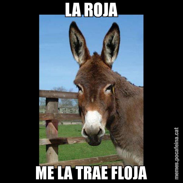 LA ROJA ME LA TRAE FLOJA - El burro Català