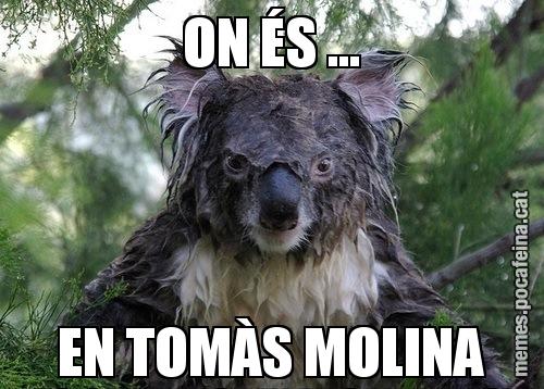 ON ÉS ... EN TOMÀS MOLINA