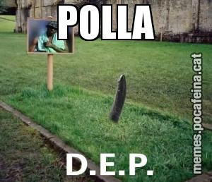 POLLA