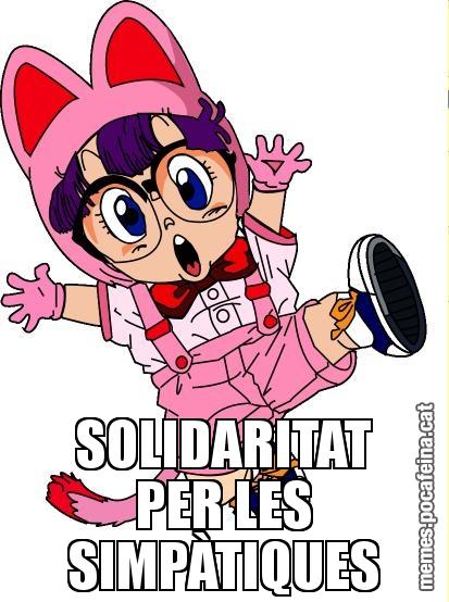 SOLIDARITAT PER LES SIMPÀTIQUES