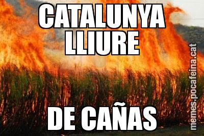 CATALUNYA LLIURE DE CAÑAS