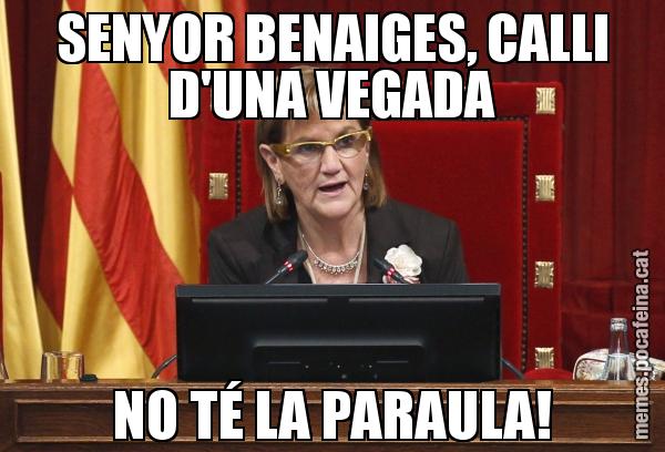 SENYOR BENAIGES, CALLI D'UNA VEGADA NO TÉ LA PARAULA!