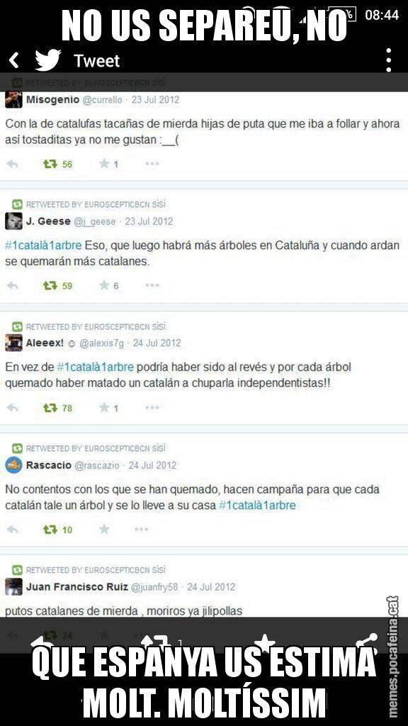 NO US SEPAREU, NO QUE ESPANYA US ESTIMA MOLT. MOLTÍSSIM