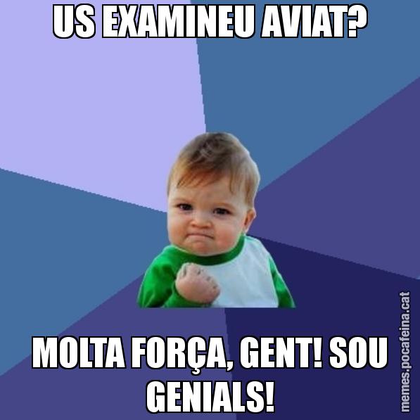 US EXAMINEU AVIAT? MOLTA FORÇA, GENT! SOU GENIALS! - Success Kid