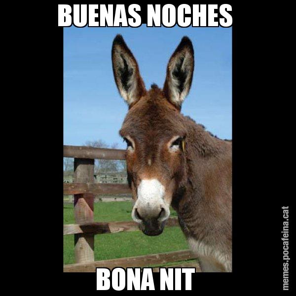 BUENAS NOCHES  BONA NIT - El burro Català
