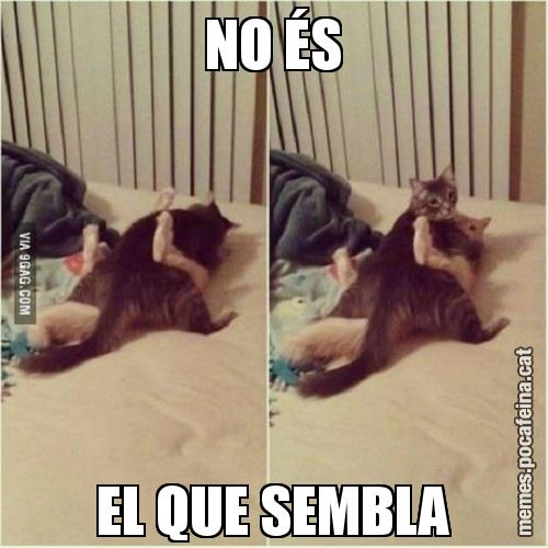 NO ÉS EL QUE SEMBLA
