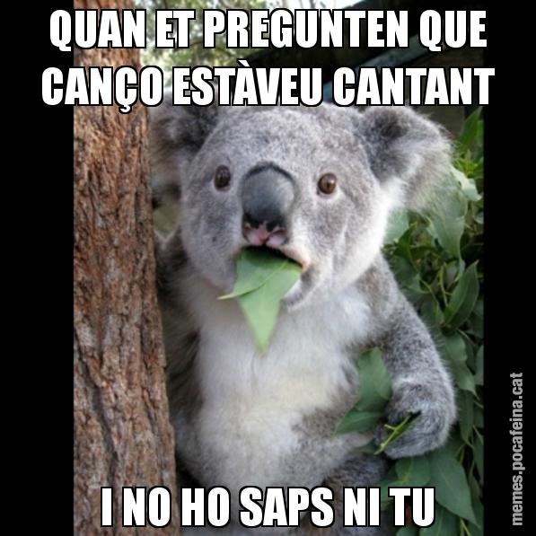 QUAN ET PREGUNTEN QUE CANÇO ESTÀVEU CANTANT I NO HO SAPS NI TU - Koala Cant Believe It