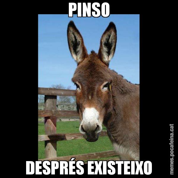 PINSO DESPRÉS EXISTEIXO - El burro Català