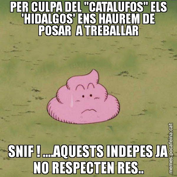 PER CULPA DEL "CATALUFOS" ELS 'HIDALGOS' ENS HAUREM DE POSAR  A TREBALLAR SNIF ! ....AQUESTS INDEPES JA NO RESPECTEN RES.. - Caca