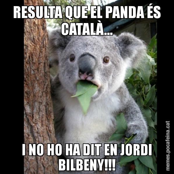 RESULTA QUE EL PANDA ÉS CATALÀ... I NO HO HA DIT EN JORDI BILBENY!!! - Koala Cant Believe It