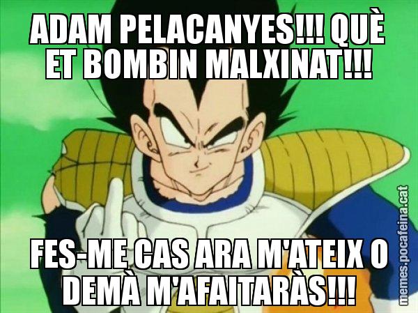 ADAM PELACANYES!!! QUÈ ET BOMBIN MALXINAT!!! FES-ME CAS ARA M'ATEIX O DEMÀ M'AFAITARÀS!!! - Vegeta