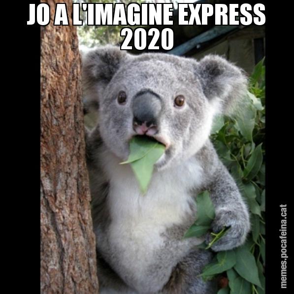 JO A L'IMAGINE EXPRESS 2020 - Koala Cant Believe It