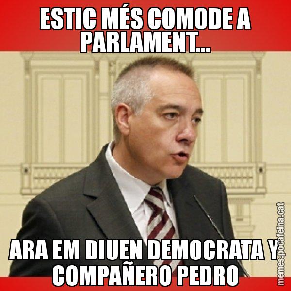 ESTIC MÉS COMODE A PARLAMENT... ARA EM DIUEN DEMOCRATA Y COMPAÑERO PEDRO - Pere Navarro