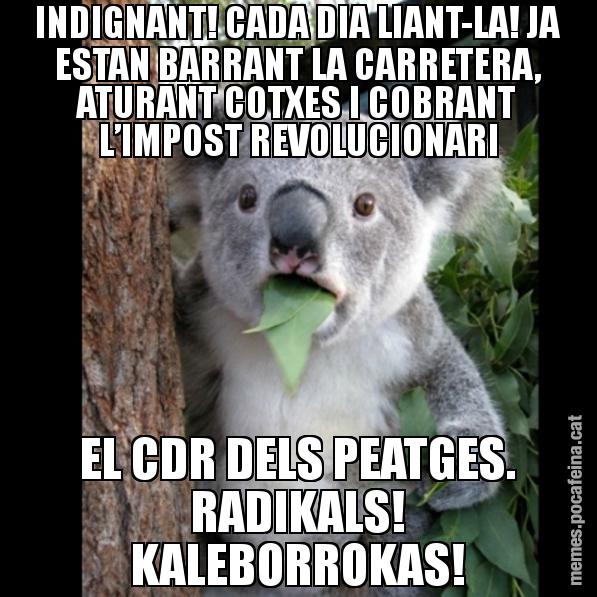 INDIGNANT! CADA DIA LIANT-LA! JA ESTAN BARRANT LA CARRETERA, ATURANT COTXES I COBRANT L’IMPOST REVOLUCIONARI EL CDR DELS PEATGES. RADIKALS! KALEBORROKAS! - Koala Cant Believe It