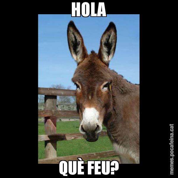 HOLA QUÈ FEU? - El burro Català