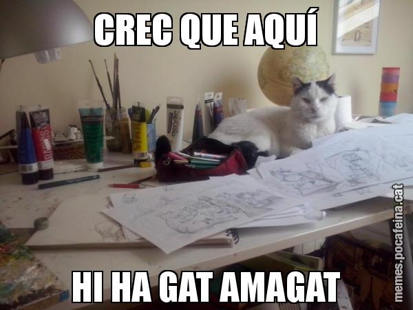 CREC QUE AQUÍ HI HA GAT AMAGAT