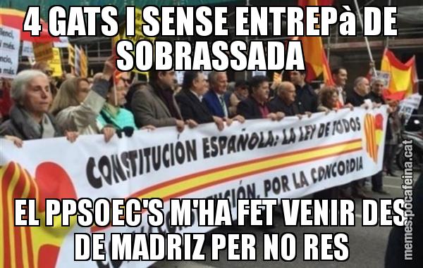 4 GATS I SENSE ENTREPà DE SOBRASSADA EL PPSOEC'S M'HA FET VENIR DES DE MADRIZ PER NO RES