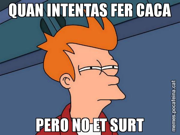 QUAN INTENTAS FER CACA PERO NO ET SURT - Futurama Fry