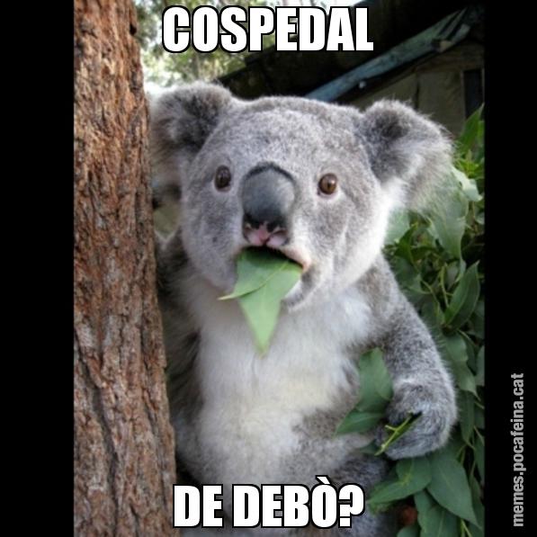 COSPEDAL DE DEBÒ? - Koala Cant Believe It