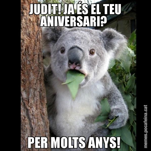 JUDIT! JA ÉS EL TEU ANIVERSARI?  PER MOLTS ANYS! - Koala Cant Believe It