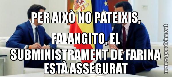 PER AIXÒ NO PATEIXIS, FALANGITO, EL SUBMINISTRAMENT DE FARINA ESTÀ ASSEGURAT