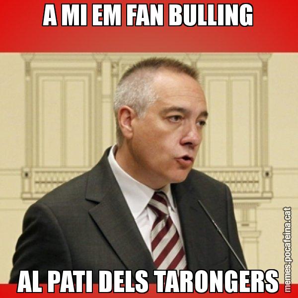 A MI EM FAN BULLING AL PATI DELS TARONGERS - Pere Navarro
