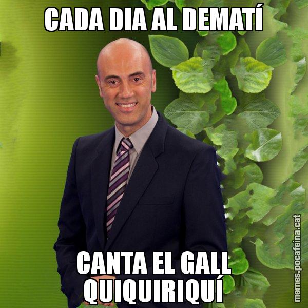 CADA DIA AL DEMATÍ CANTA EL GALL QUIQUIRIQUÍ - Tomàs Molina