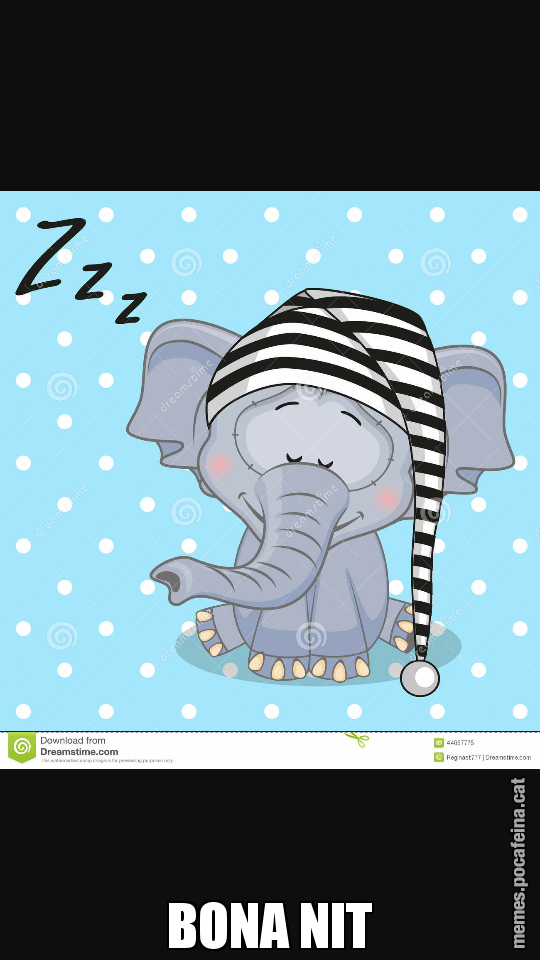 BONA NIT
