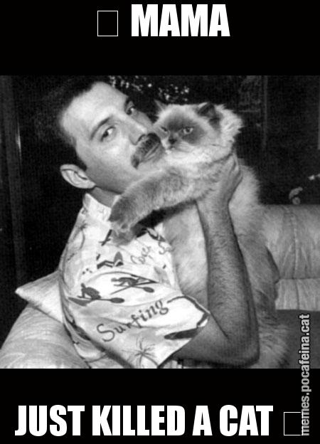 ♬ MAMA JUST KILLED A CAT ♬