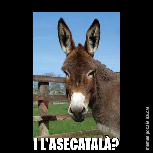 I L'ASECATALÀ? - El burro Català