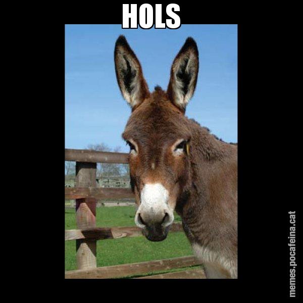 HOLS - El burro Català