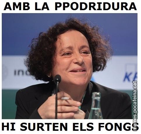 Meme i9qezu