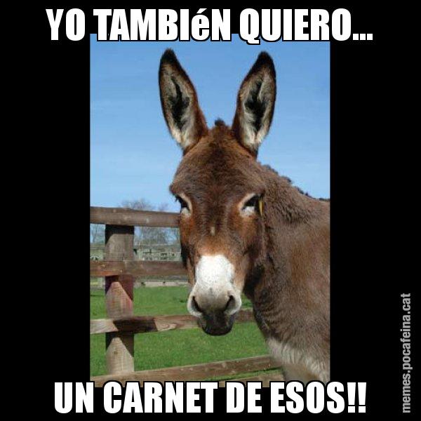 YO TAMBIéN QUIERO... UN CARNET DE ESOS!! - El burro Català