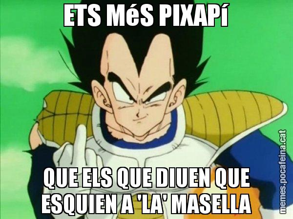 ETS MéS PIXAPí QUE ELS QUE DIUEN QUE ESQUIEN A 'LA' MASELLA - Vegeta