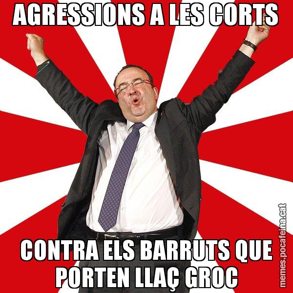 AGRESSIONS A LES CORTS CONTRA ELS BARRUTS QUE PORTEN LLAÇ GROC - Miquel Iceta - 27S