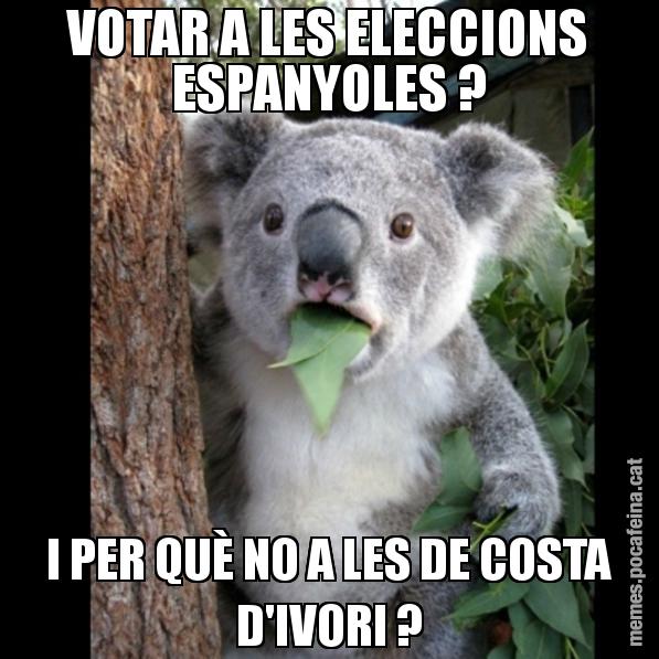 VOTAR A LES ELECCIONS ESPANYOLES ? I PER QUÈ NO A LES DE COSTA D'IVORI ? - Koala Cant Believe It