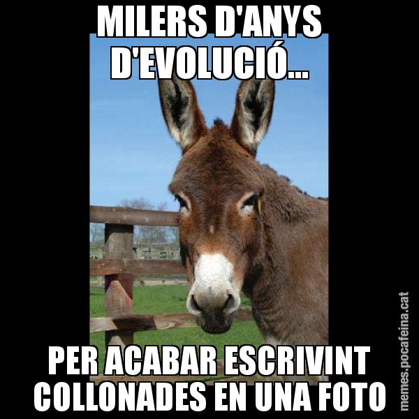 MILERS D'ANYS D'EVOLUCIÓ... PER ACABAR ESCRIVINT COLLONADES EN UNA FOTO - El burro Català