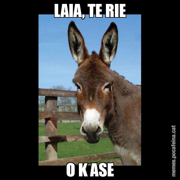 LAIA, TE RIE O K ASE - El burro Català