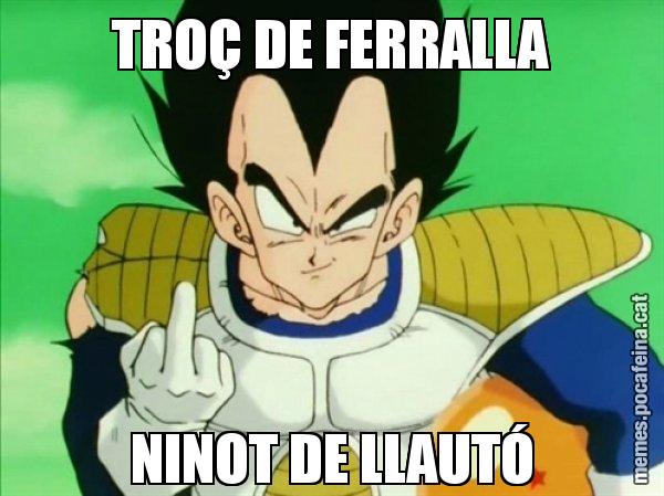 TROÇ DE FERRALLA NINOT DE LLAUTÓ - Vegeta