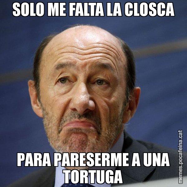 SOLO ME FALTA LA CLOSCA PARA PARESERME A UNA TORTUGA - Rubalcaba