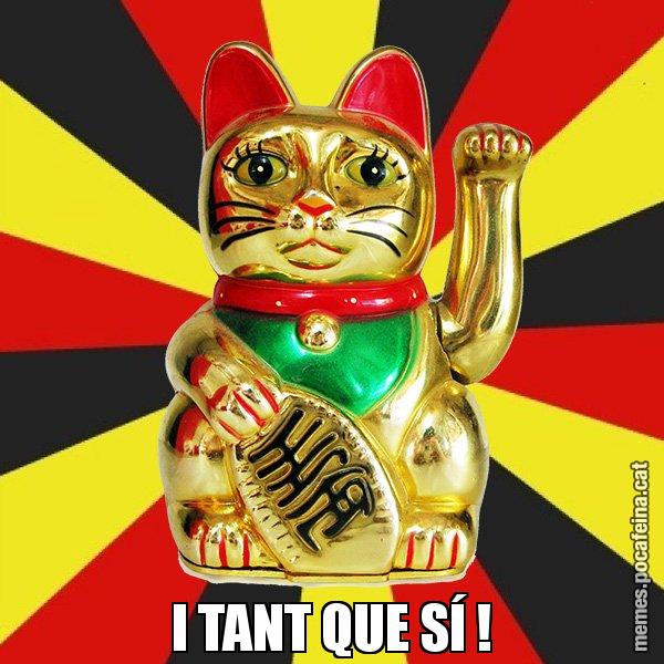 I TANT QUE SÍ ! - El Gat de la Cup - 27S