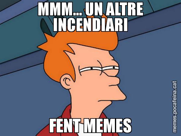 MMM... UN ALTRE INCENDIARI FENT MEMES - Futurama Fry