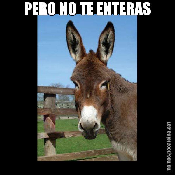 PERO NO TE ENTERAS - El burro Català