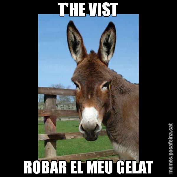 T'HE VIST ROBAR EL MEU GELAT - El burro Català