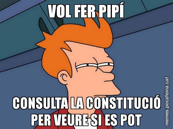 VOL FER PIPÍ CONSULTA LA CONSTITUCIÓ PER VEURE SI ES POT - Futurama Fry
