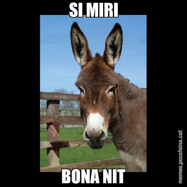 SI MIRI BONA NIT - El burro Català