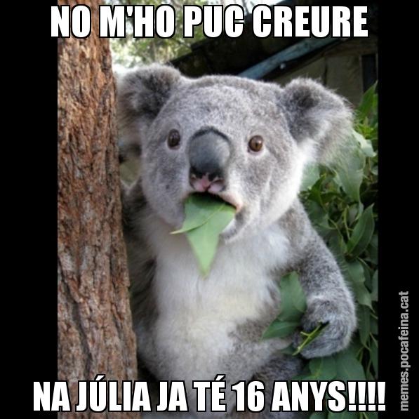 NO M'HO PUC CREURE NA JÚLIA JA TÉ 16 ANYS!!!! - Koala Cant Believe It