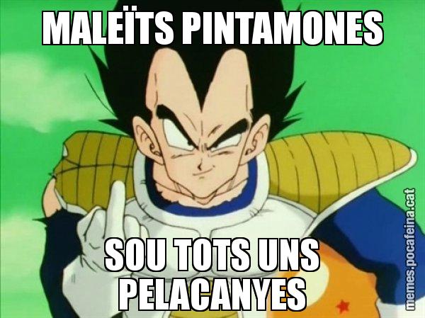 MALEÏTS PINTAMONES SOU TOTS UNS PELACANYES - Vegeta