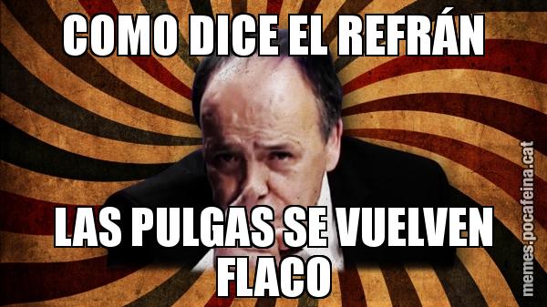 COMO DICE EL REFRÁN LAS PULGAS SE VUELVEN FLACO